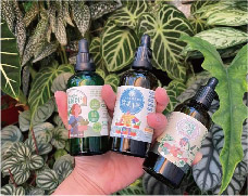 Holding three earlier dropper bottles, with foliage plants behind