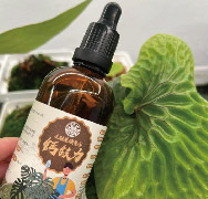 Holding an earlier calcium-magnesium dropper, with foliage plants behind