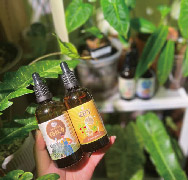 Holding two earlier dropper bottles, with indoor plants behind