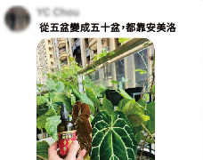 From five pots to fifty, with AminoMatrix
