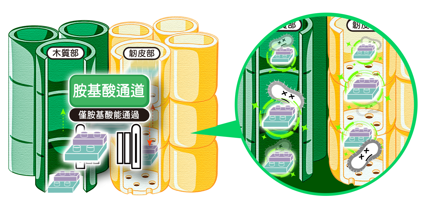 Citrus Greening Impact