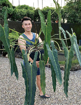 Shanye Horticulture