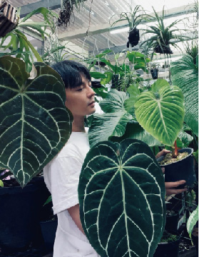 Xiaomei of Eden Garden