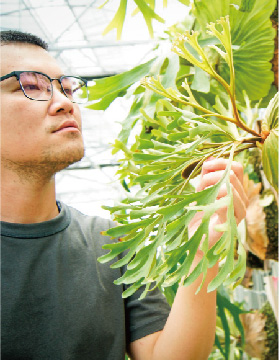 A-Jin’s Constipated Garden