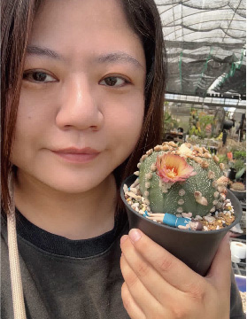 Meow King’s Succulent Balcony