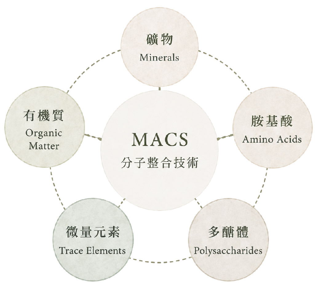 MACS molecular integration: minerals, amino acids, polysaccharides, trace elements, and organic matter